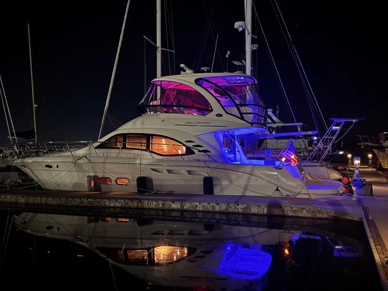 The Image of Profile View - 0