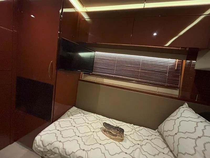 Slide: The Image of Sea Ray L590 2017 - 64