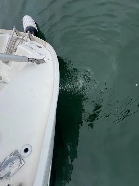 Slide: The Image of Bavaria 42 Cruiser 2000 yacht bow with fender on calm water. - 11