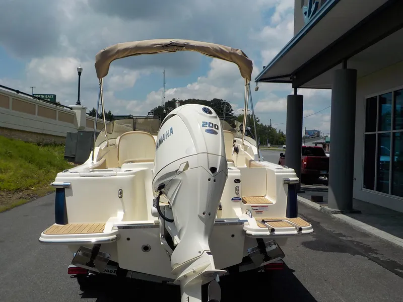 Slide: The Image of Scout Dorado 215 2025 - 14