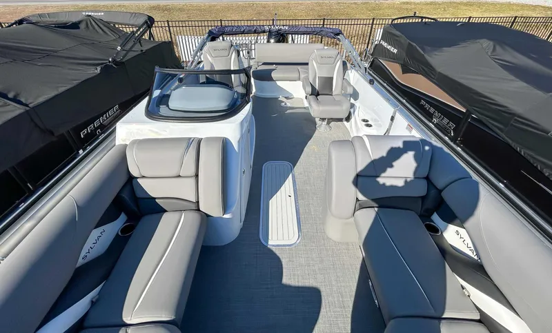 Slide: The Image of Sylvan S 3 Clz Dh 2024 - 11