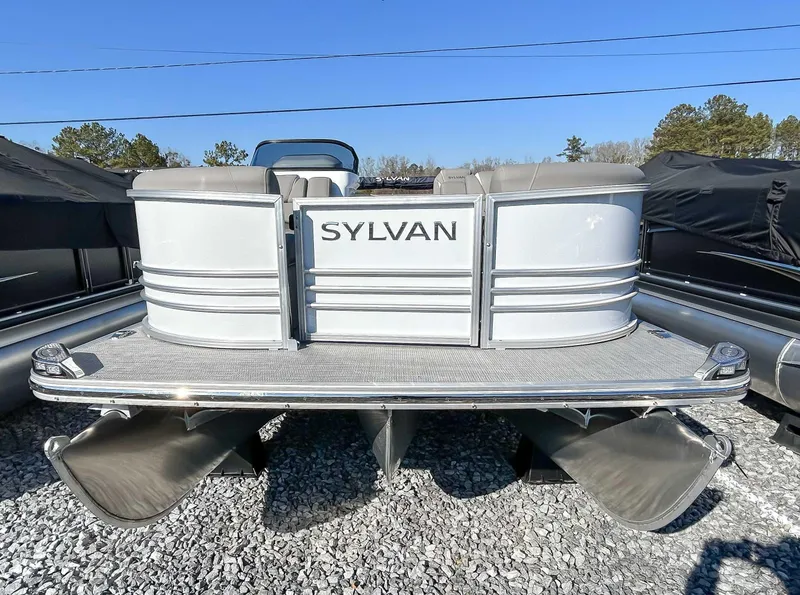 Slide: The Image of Sylvan S 3 Clz Dh 2024 - 3