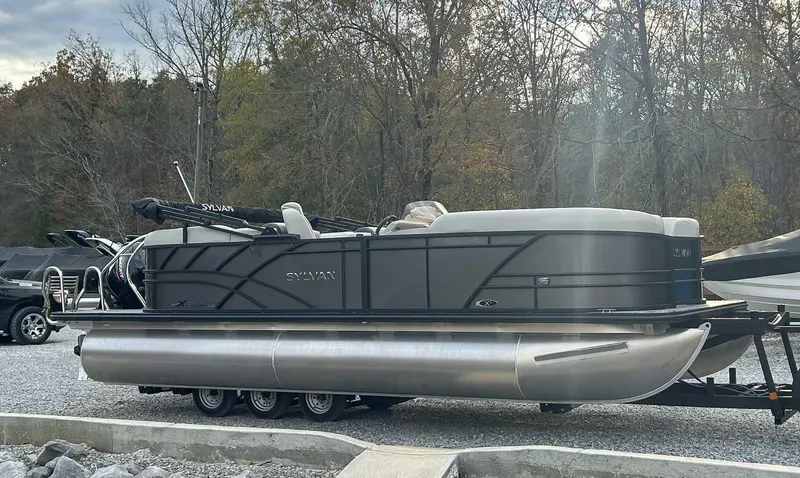 Slide: The Image of Sylvan Mirage X3 2025 - 5