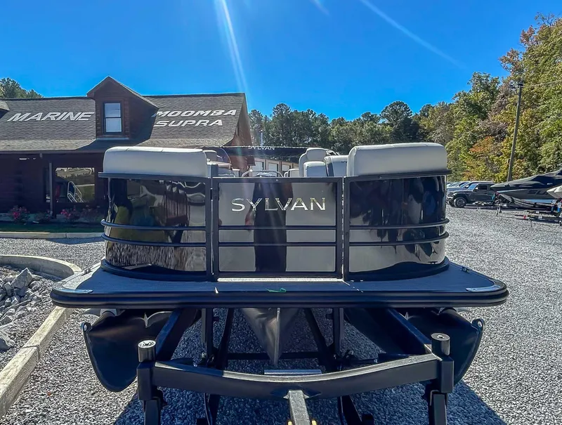 Slide: The Image of Sylvan Mirage X3 2025 - 4