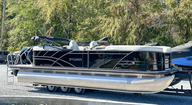 Slide: The Image of Sylvan Mirage X3 2025 - 5