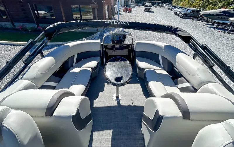 Slide: The Image of Sylvan Mirage X3 2025 - 7