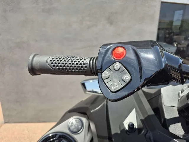 Slide: The Image of Sea-Doo RXT-X 2025 - 19