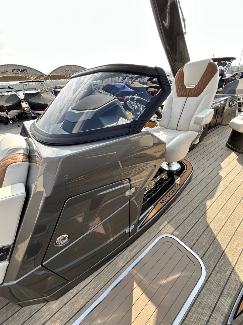 Slide: The Image of Sylvan M3 CLZ DC 2025 - 36