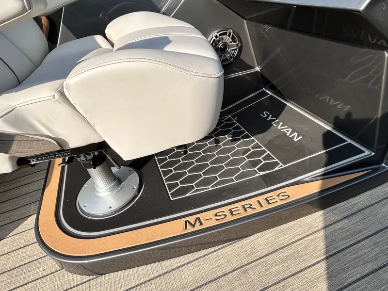 Slide: The Image of Sylvan M3 CLZ DC 2025 - 48