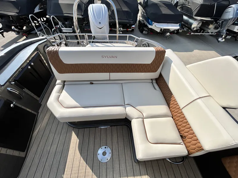 Slide: The Image of Sylvan M3 CLZ DC 2025 - 60