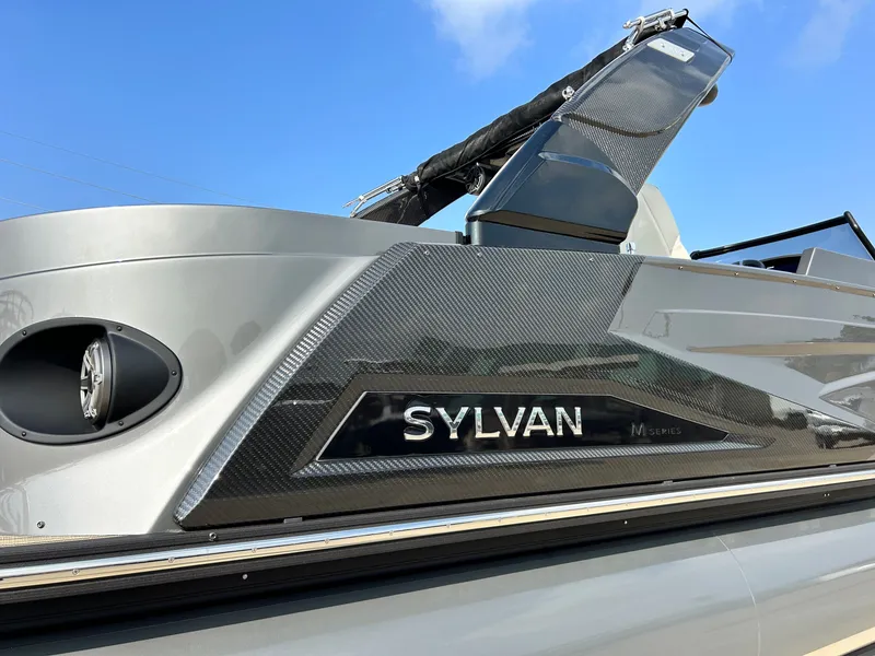 Slide: The Image of Sylvan M3 CLZ DC 2025 - 82