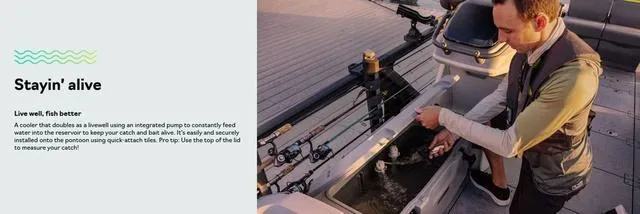 Slide: The Image of Sea-Doo Switch Fish 21 2025 - 6