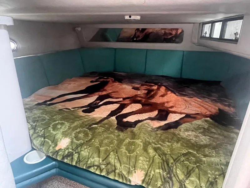 Slide: The Image of 1993 Regal 9.8 VENTURA cabin interior with horse-themed bedding. - 15