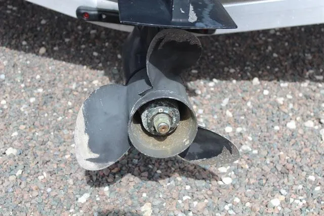 Slide: The Image of Monterey 194FS 2006 - 9