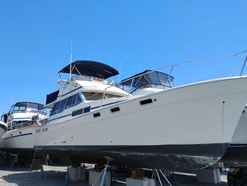 The Image of 1988 Bayliner 3818 Motoryacht on stands under clear blue sky. - 0