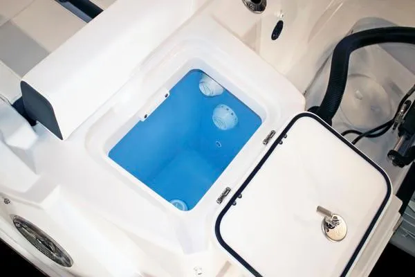 Slide: The Image of Blackfin 232 DC 2024 - 51