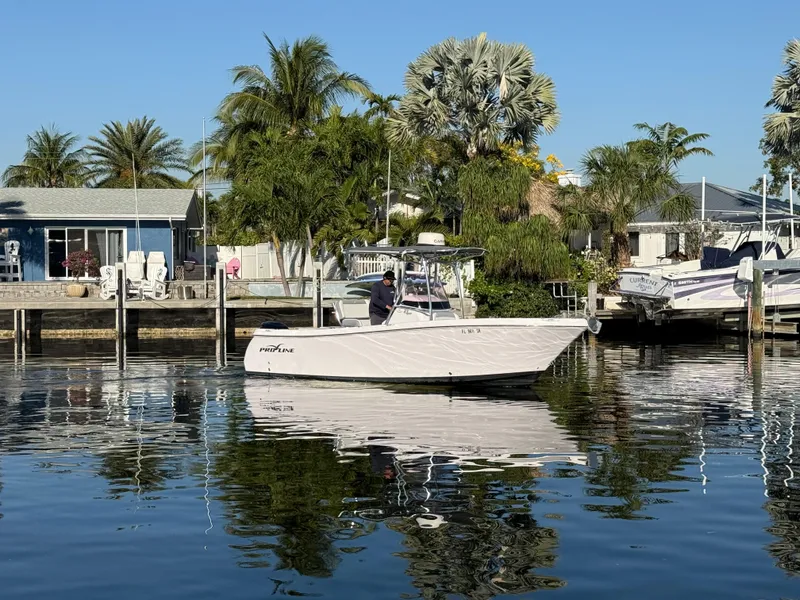 Slide: The Image of 2019 Pro-Line 23 Sport boat docked in a scenic marina with palm trees. - 5