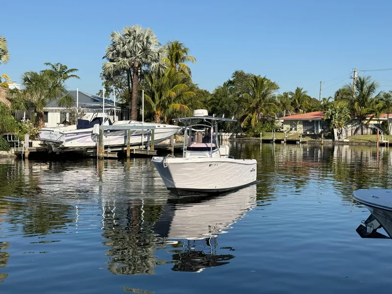 Slide: The Image of 2019 Pro-Line 23 Sport boat on a calm, scenic waterway with palm trees. - 8