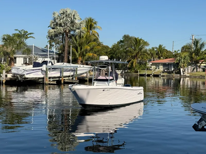 Slide: The Image of 2019 Pro-Line 23 Sport boat on a calm, tropical waterway with palm trees. - 9