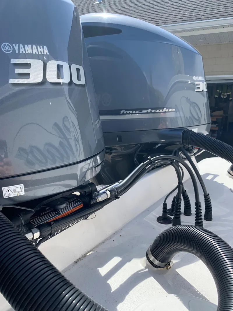 Slide: The Image of Regulator Marine 31 2019 - 61