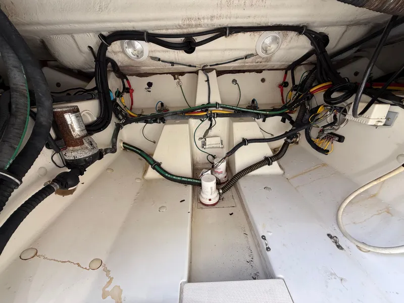 Slide: The Image of Hydra-Sports Vector 3500 VX 2008 - 50