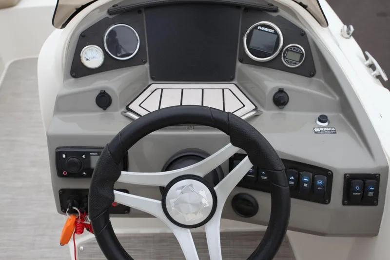 Slide: The Image of Stingray 192 SC 2019 - 10