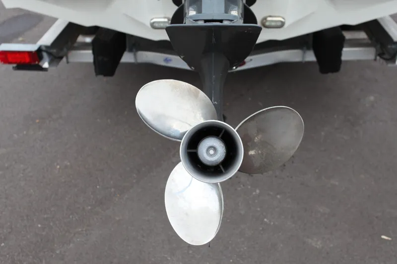 Slide: The Image of Stingray 192 SC 2019 - 15