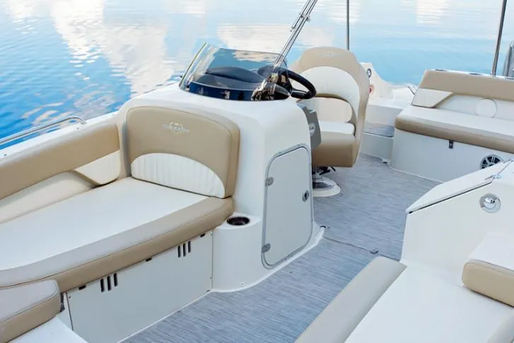 Slide: The Image of Stingray 192 SC 2019 - 26