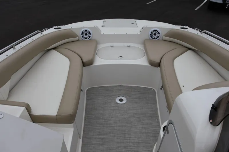 Slide: The Image of Stingray 192 SC 2019 - 5