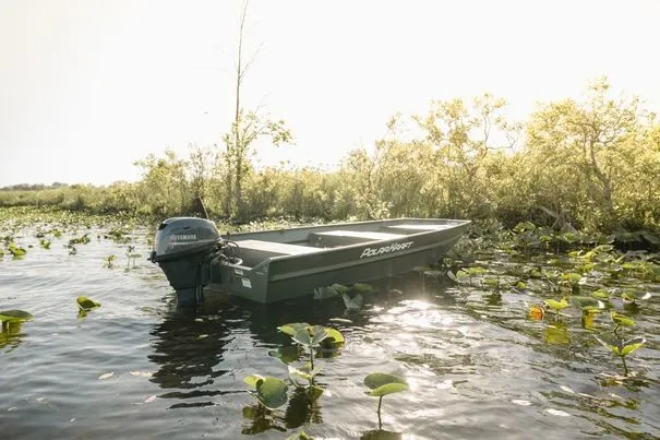 Slide: The Image of 2023 Polar Kraft Jon DKJ1648-15 boat in sunny marshland. - 10