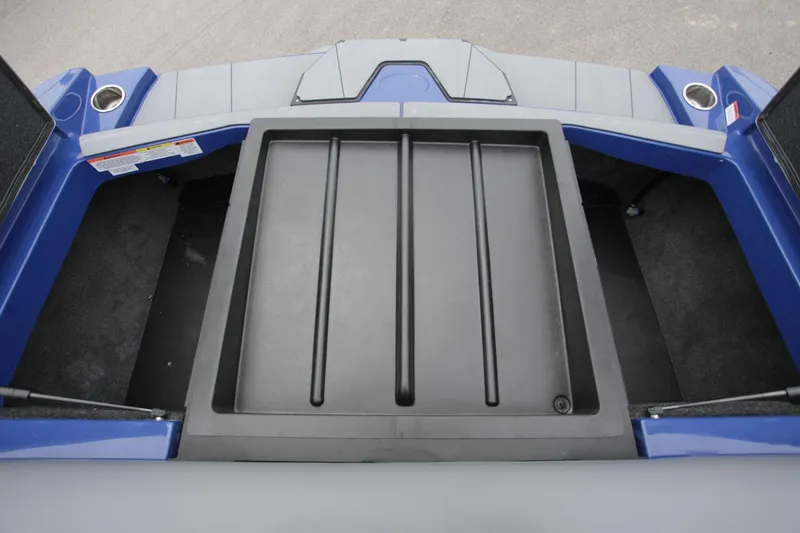 Slide: The Image of Axis T235 2025 - 11