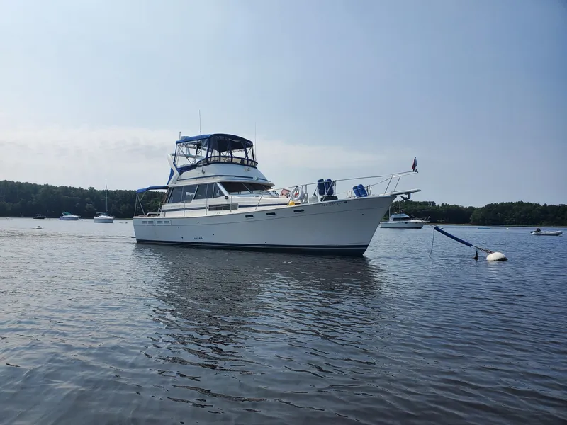 Slide: The Image of 1985 Bayliner 3870 Motoryacht with Flybridge on calm water, surrounded by trees. - 42