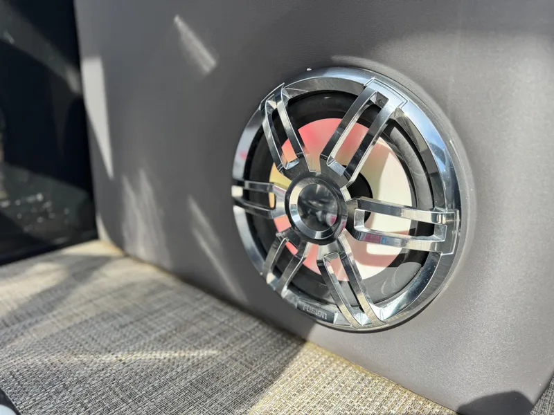 Slide: The Image of Speaker detail on 2023 Godfrey Monaco 255 C boat interior. - 17