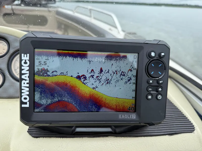 Slide: The Image of Lowe Sea Nymph V 1677WT 2002 - 60