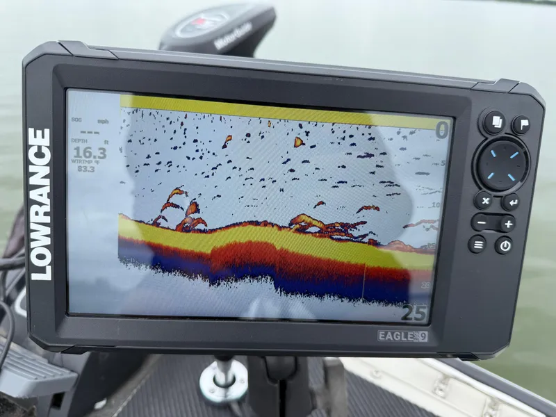 Slide: The Image of Lowe Sea Nymph V 1677WT 2002 - 64