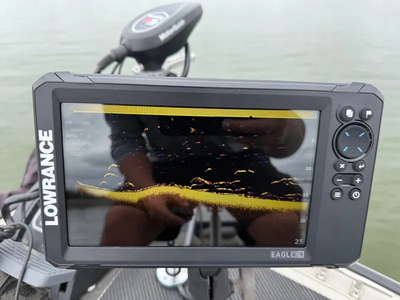 Slide: The Image of Lowe Sea Nymph V 1677WT 2002 - 65