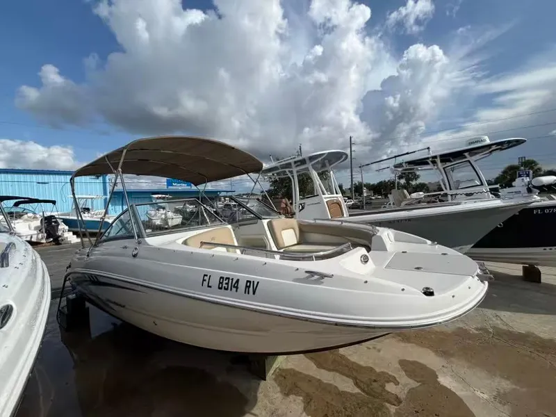 The Image of Stingray 201 DC 2019 - 1