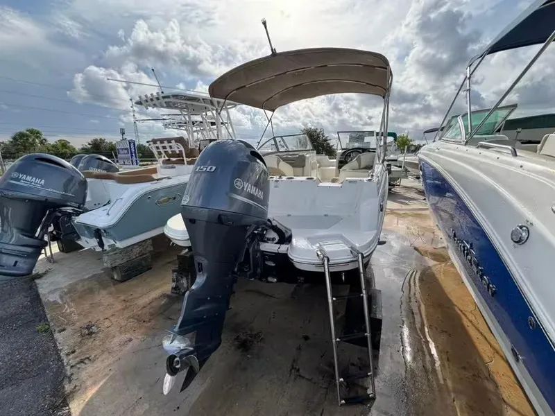 Slide: The Image of Stingray 201 DC 2019 - 3