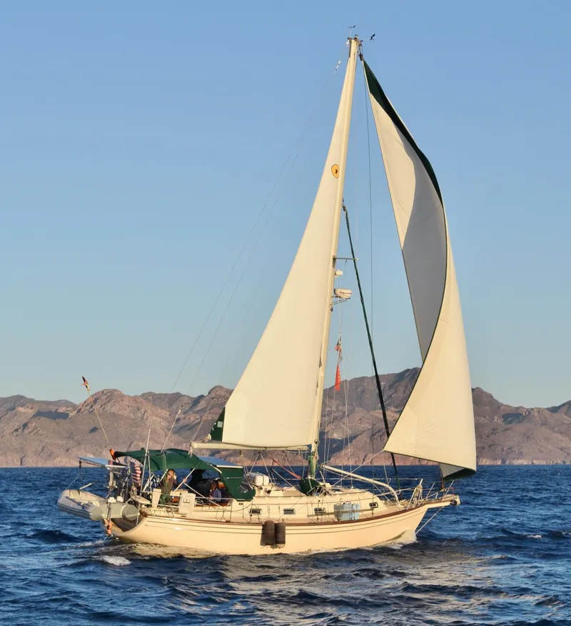 The Image of Ecco Bella - 1