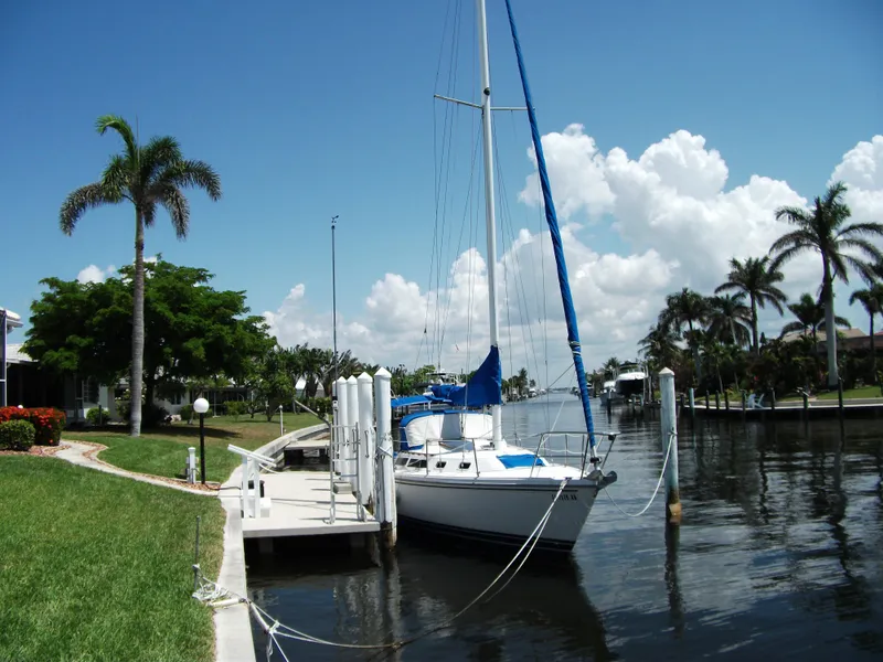 The Image of Catalina 30 MkII sailboat docked by palm trees, clear sky, and calm water. - 0