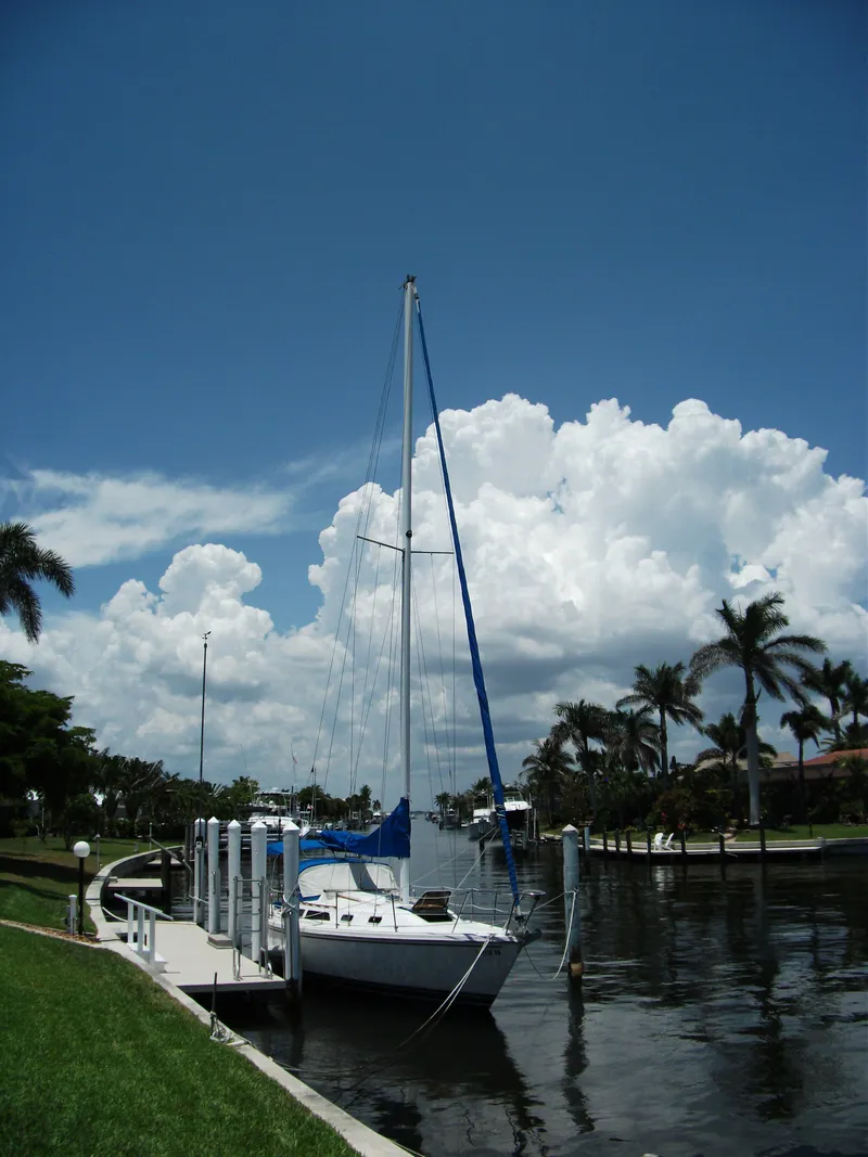 Slide: The Image of Sailboat Catalina 30 MkII, 1992, docked by palm trees under a blue sky. - 38