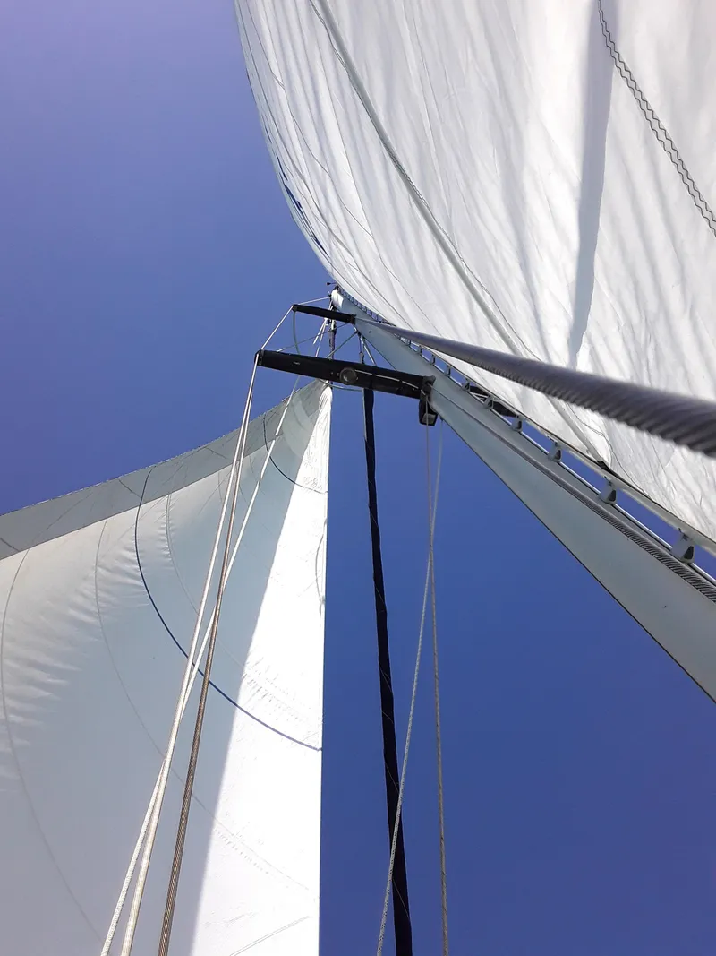 Slide: The Image of Sails of 1985 Tayana Vancover 42 yacht against clear blue sky. - 44