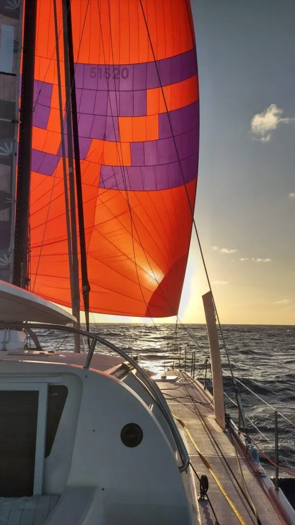 Slide: The Image of Sailing catamaran with vibrant red and purple sails at sunset, Performance Catamarans 52, 2011 model. - 23