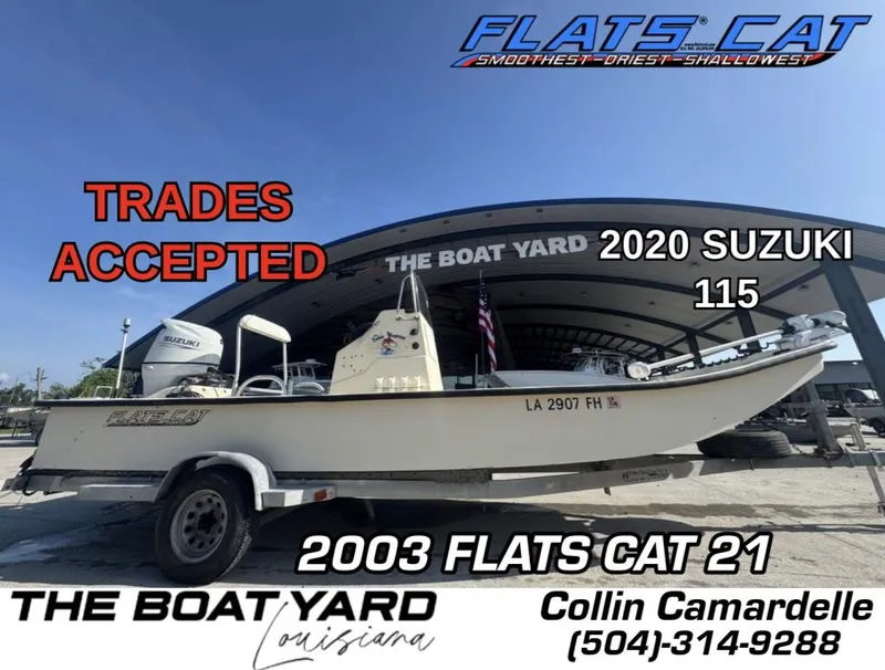 The Image of Flats Cat 21 2003 - 1