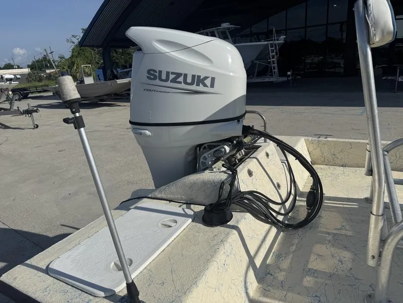 Slide: The Image of Flats Cat 21 2003 - 14