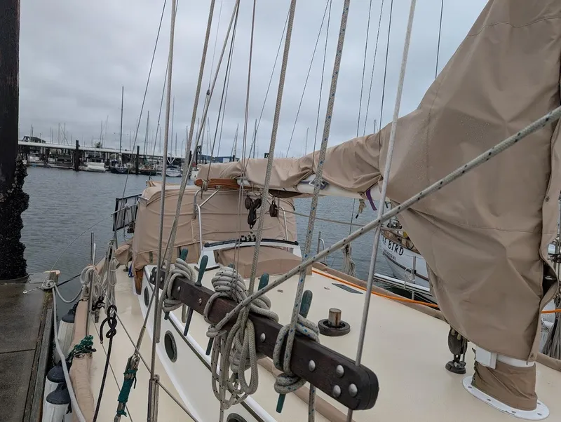 Slide: The Image of 1977 Alajuela 38 Mk1 sailboat docked, covered sails, overcast marina background. - 21