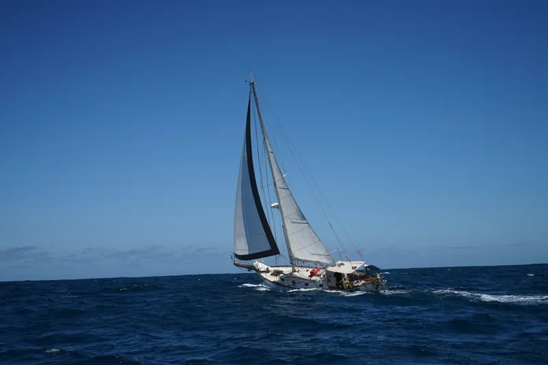 Slide: The Image of Sailing yacht Alajuela 38 Mk1, 1977, navigating open sea under clear blue sky. - 39