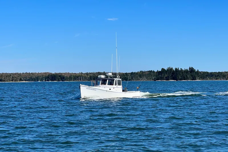 The Image of 1980 Holland 32 boat cruising on a calm blue sea under a clear sky. - 1