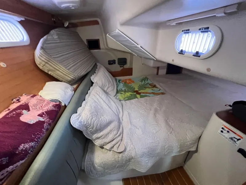 Slide: The Image of Catalina 320 - 17