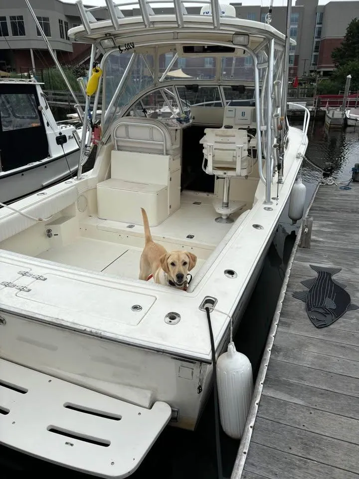 Slide: The Image of 2003 Albemarle 260 boat docked with a dog on deck. - 6